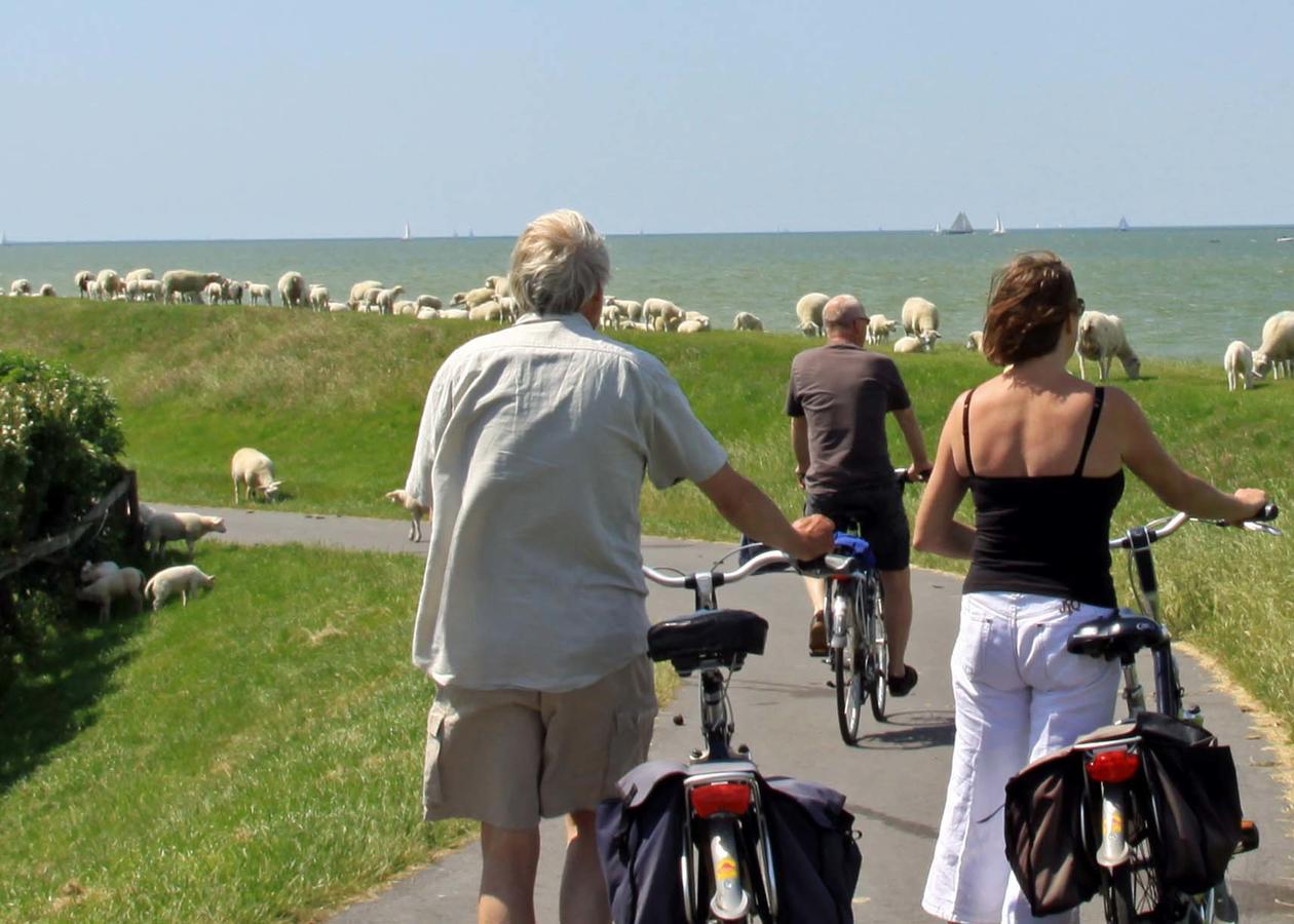 Friesland-Cottage Molkwerum Luaran gambar